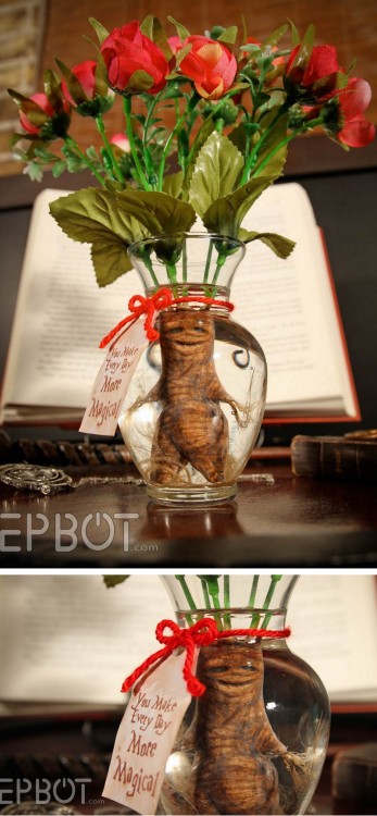DIY Harry Potter Mandrake Root Bouquet for Valentine’s Day Tutorial from EPBOT.Why give a dozen rose