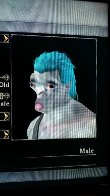 mariopartyintheusa:  ive decided to start another demon’s souls character