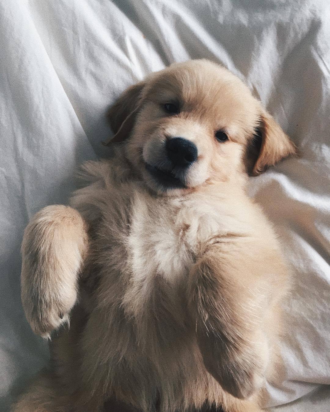 labella-instagram:ig:   noemielacerte  