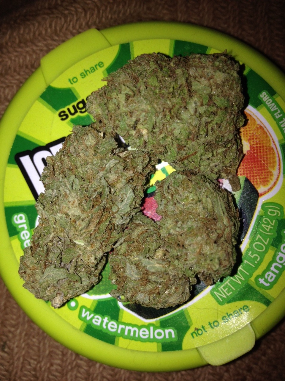 interplanetaryconnections:  New day, new weed. This is K2, it’s rare that I know