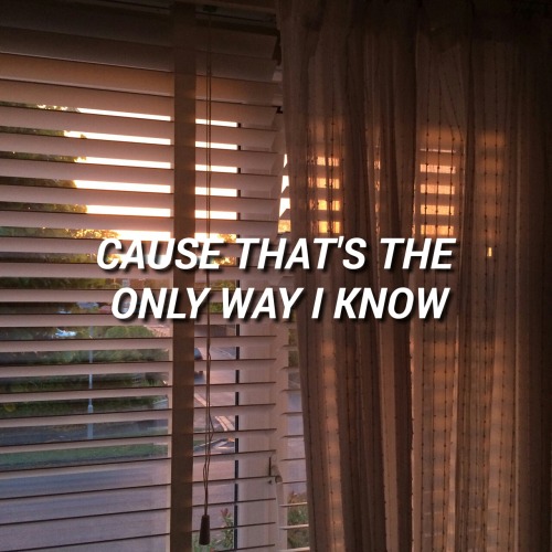 constellationstylinson:  PIERCE THE VEIL // DRELLA