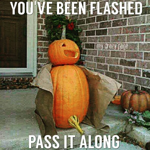 fiestywendy69:805sunshine:🎃🎃