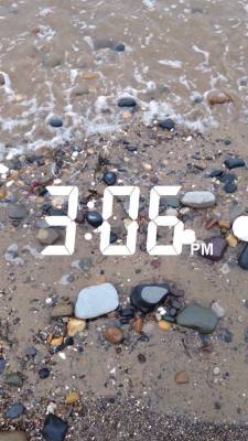 ixplosive:  3:06pm // Hornsea Beach ft. Dogs