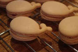 ice-cream-party:  Adorable whale-shaped macarons~