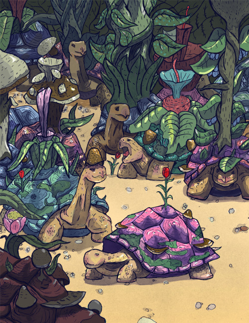 Tortoise forest I just &hellip; I just really needed to draw a lot of tortoises.