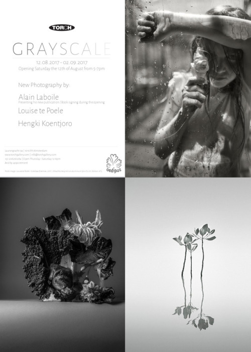 hengki24:© 2017 ➤ Photo Exhibition - GREYSCALE at TORCH gallery  Featuring: Alain Laboile - Louise Te Poele - Hengki Koentjoro Opening: Saturday,  12th of August 2017 From 5 to 7 pm Amsterdam - The Netherlands