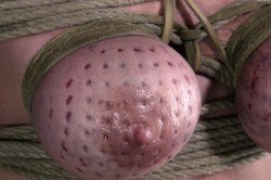 frostychristine:  OMG…. Ouch and I’m strangely intrigued.  I’m doubly intrigued.