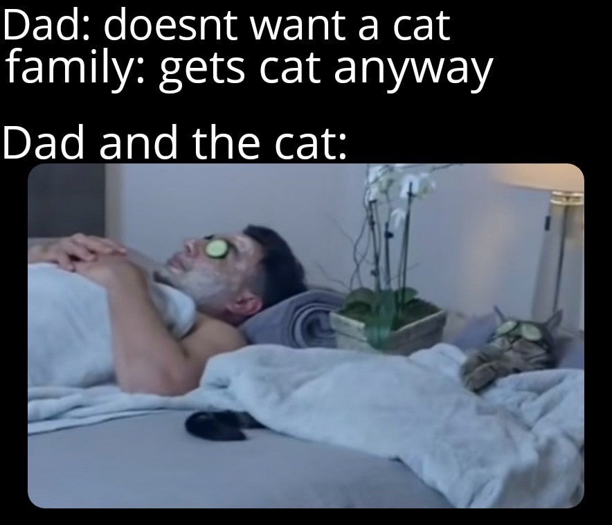 dankmemeuniversity: