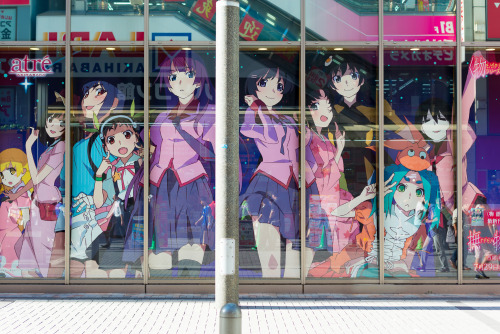 monogatari series