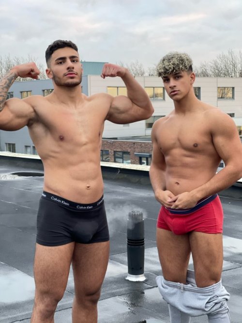 gym-punk-jock-nerd:SWOLE BROS Hustle always.