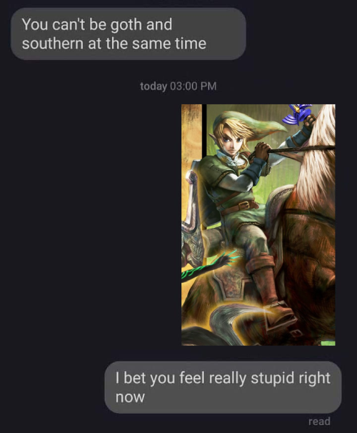 triforce-princess:the people arguing with me about this are funny to me, he is from the southern mos