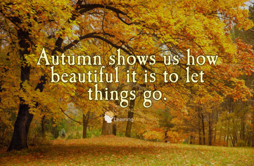 Autumn Shows Us That Far From Shunning Change Natures Achieves This Transition Effortlessly.Autumn Shows