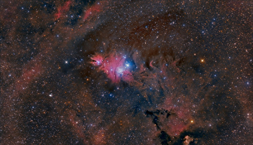 Amateur Astronomers Capture Magnificent Mix of Celestial Delights in Amazing Photo[538x308]