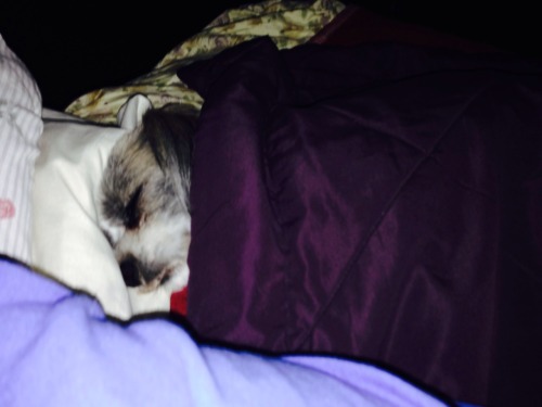 My Baby Boy Who Is Sleeping Like An Angel ; I Miss Him 