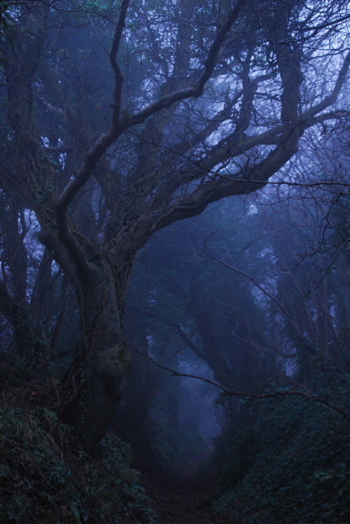 buron:Retour de la Brume Fluorescent (2)©buron - December ‘13
