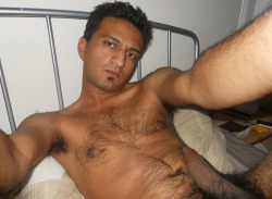 hairyindianguy.tumblr.com post 48141046642