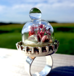 truebluemeandyou:  DIY Under the Dome Ring Tutorial from Resin Crafts here. She used a doll house miniature bell jar for the dome. You could personalize this so easily using different miniatures - like really miniature people, houses, etc… 