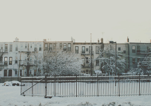 Brooklyn Backyards (@equinoccio)