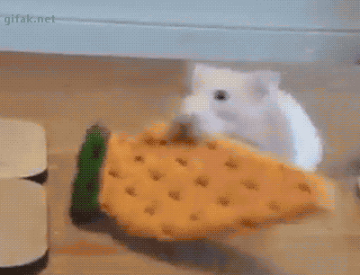 catasters: