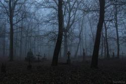 abandonedandurbex:Creepy cemetery in Twierdza Modlin, Poland [3500 x 2300]