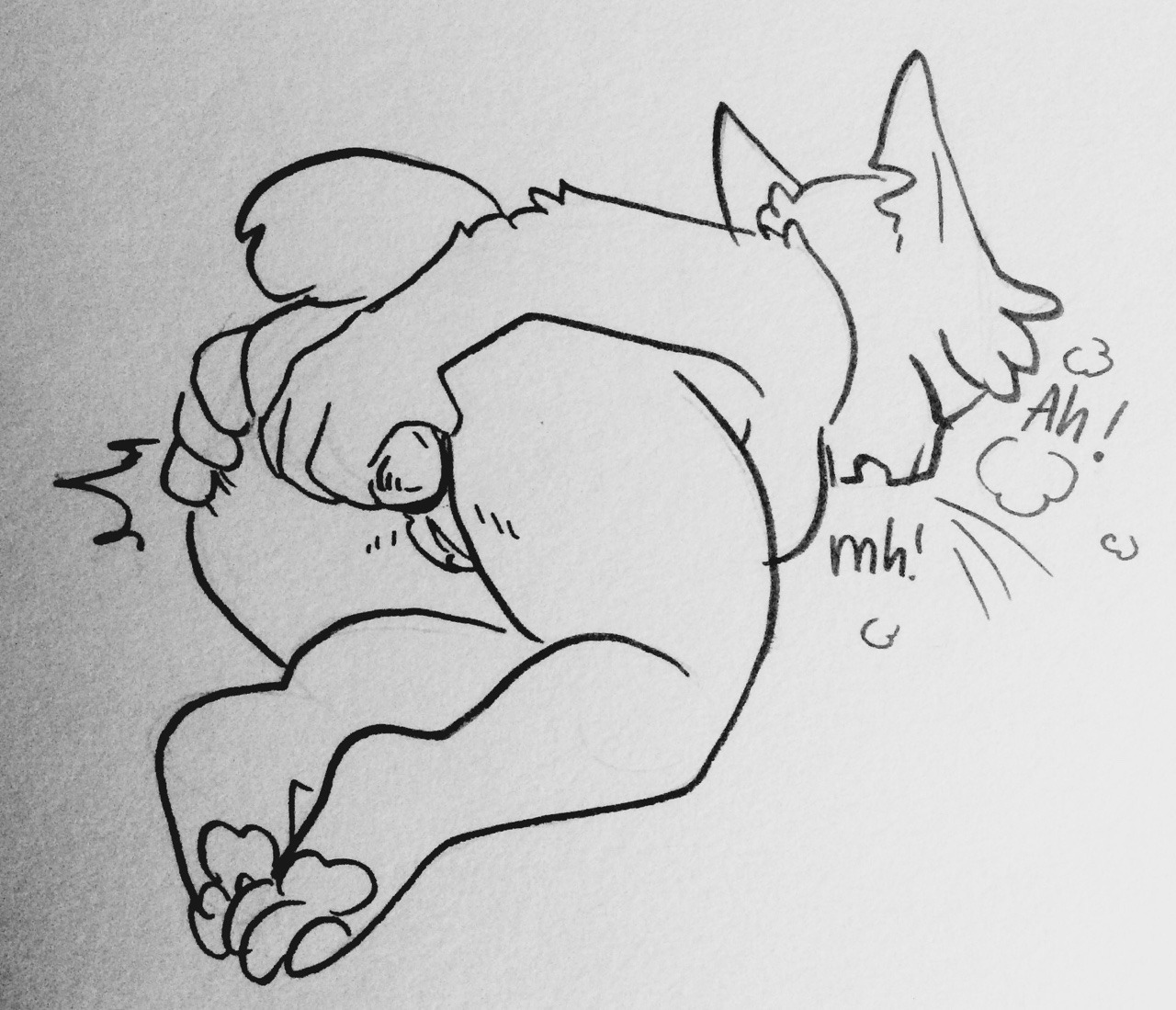 fluffyboobs:I like how you think anon ;3c
