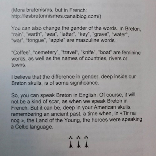 cosmogyros:My family subscribes to “Bro Nevez”, the newsletter of the International