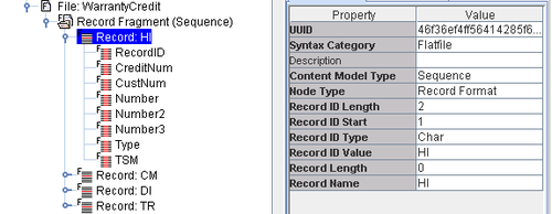 EXTOL Business Integrator EBI Flat File Schema Record ID screenshot 1