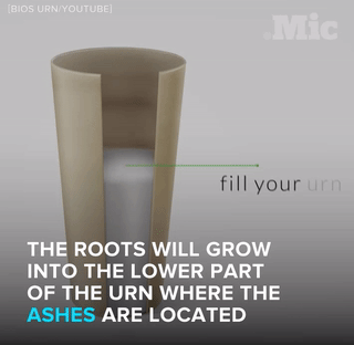 the-future-now:  The BIOS urn isn’t the only green death option. Follow @the-future-now 