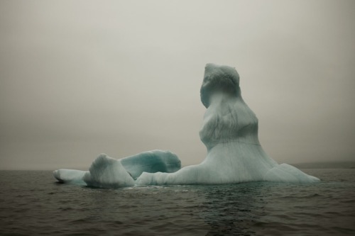 uglypnis:Simon Harsent &lsquo;This portfolio begins with images of the massive icebergs as they 