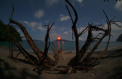 Best Keep Your Distance (Anak Krakatau [Krakatoa] Volcano In The Sunda Strait, Indonesia)