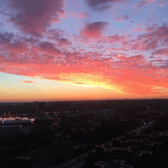 ameliastardust:NYC sunrises make working all night worth it