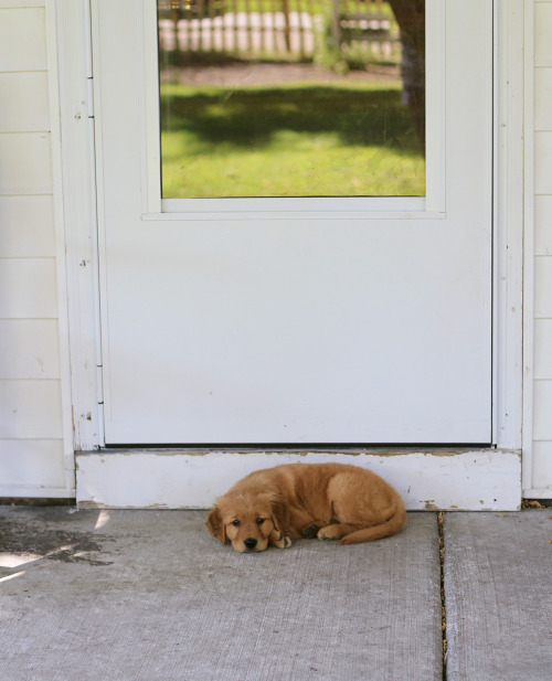 vineayl:  bagelkid:  carissa-xy:  Princess Leia at 2 months // 4 years   :’)  I love this :’)   