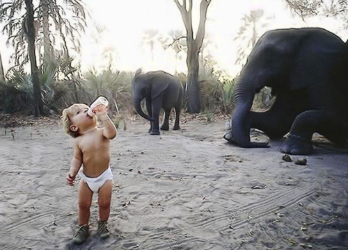 littlenightthinker:  Tippi Degré, the girl who spent her childhood in the African jungle Tippi Degré could be a normal girl, but for the fact of having lived 13 years of her life in the African jungle, living with all kinds of animals, from the most