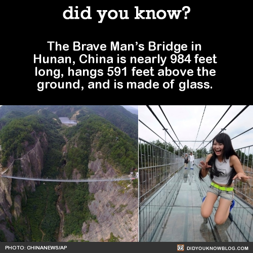 did-you-kno:  Each of the glass panes is 24 millimeters thick and 25 times stronger