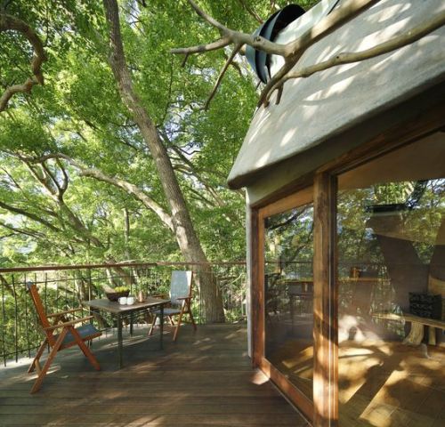 wordsnquotes:  thedesigndome:Japan’s Largest Treehouse Was Built Around a 300-year Old Tree A professional Japanese tree house designer for 15 years Takashi Kobayashi has built over 120 tree houses in Japan and globally.  Keep reading