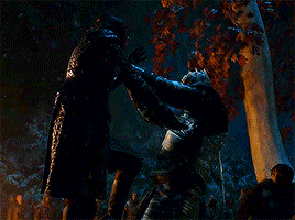 thegoldenlannisters: Arya Stark Night Kingslayer