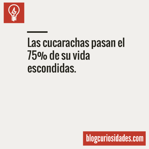 curiosidads:  Blog CuriosidadesFacebook || Twitter