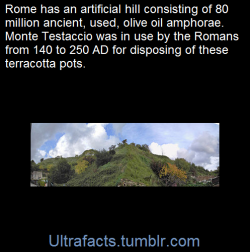 ultrafacts:    MONTE TESTACCIOThis hill made