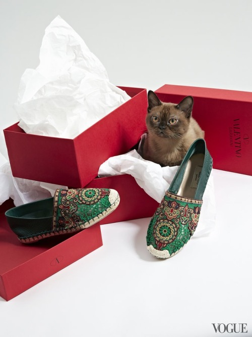kikiavelarferreira:The Cat  and the Flat photographed by Charlie Engman  for Vogue, March 2014
