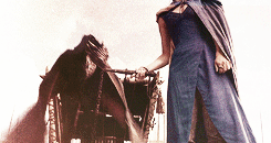 meerareed:  make me choose - anonymous asked: targaryen or tyrell 