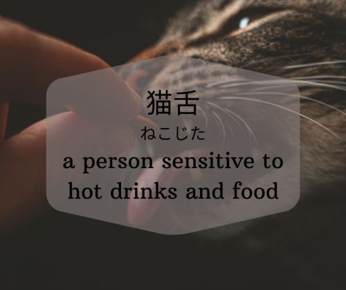 wasabijpn:This week’s featured expression is “猫舌” (ねこじた, “nekojita”). This word composed of the kanj