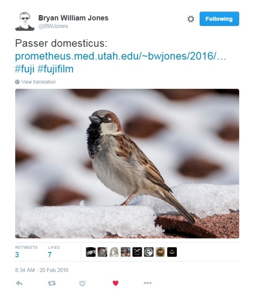 “Passer Domesticus” “Household Sparrow”A bit of scientific nomenclature