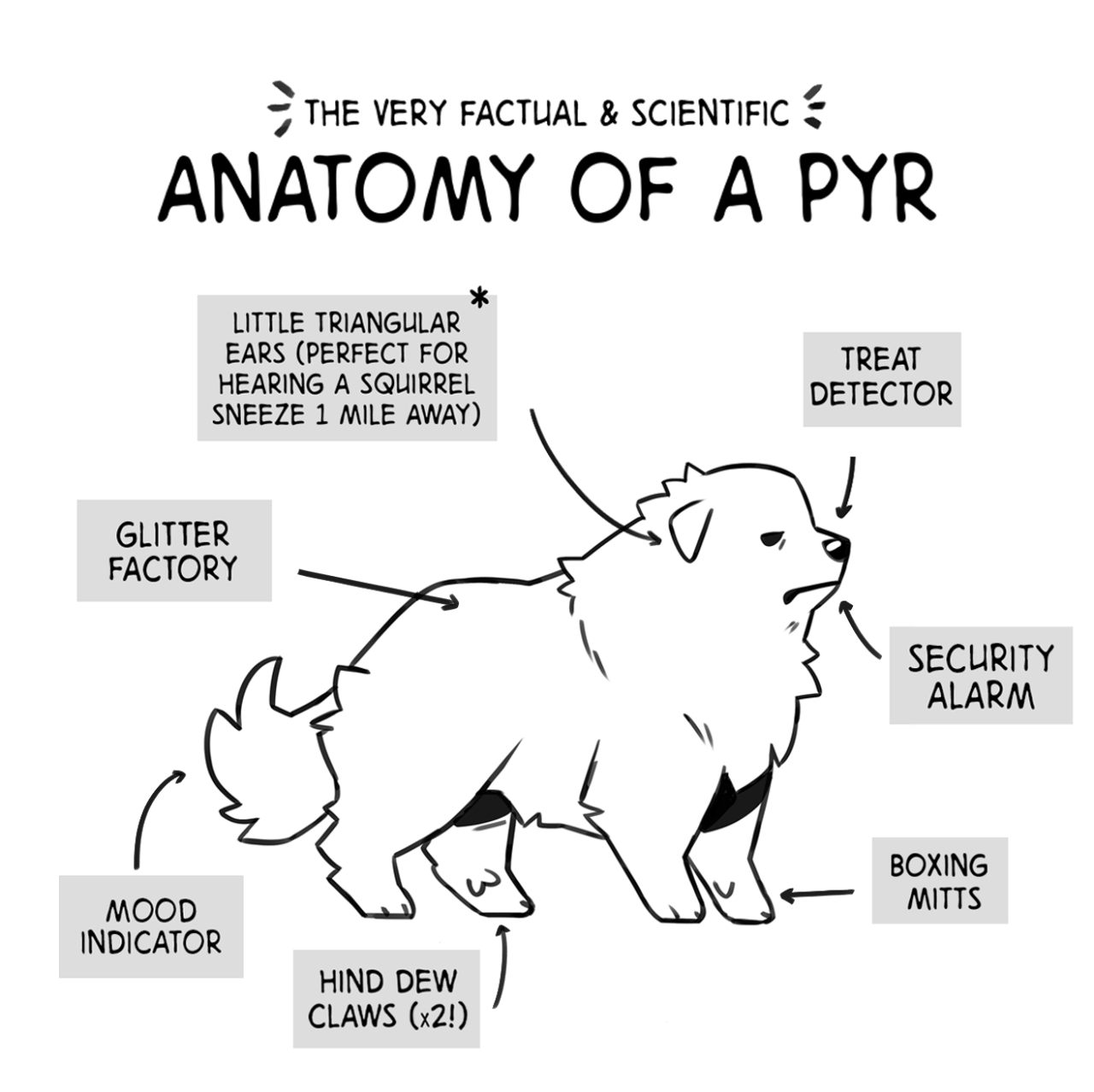 THE PYR REVIEW - the (very factual & scientific) anatomy of a PYR

 subscribe on webtoon!