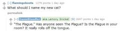 huntingjaeger:  nudityandnerdery:  2percentmelk:  (Source: http://www.reddit.com/r/IAmA/comments/21xynj/this_is_daniel_handler_aka_lemony_snicket_trapped/)  That is fantastic life advice.  Lemony Snicket doesn’t give a damn fuck 