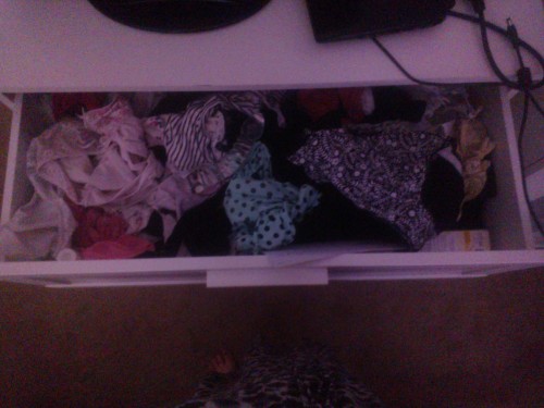 MY Panties and Up-Skirt Diary