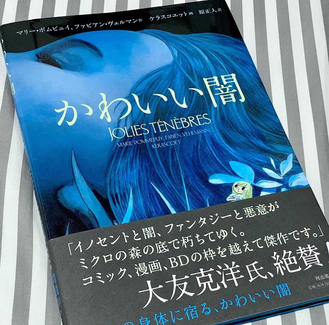 どくだみ荘の作者の家に強盗 どくだみ荘の作者の家に強盗