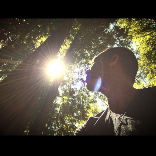 We can never obtain peace in the outer world until we make peace with ourselves.