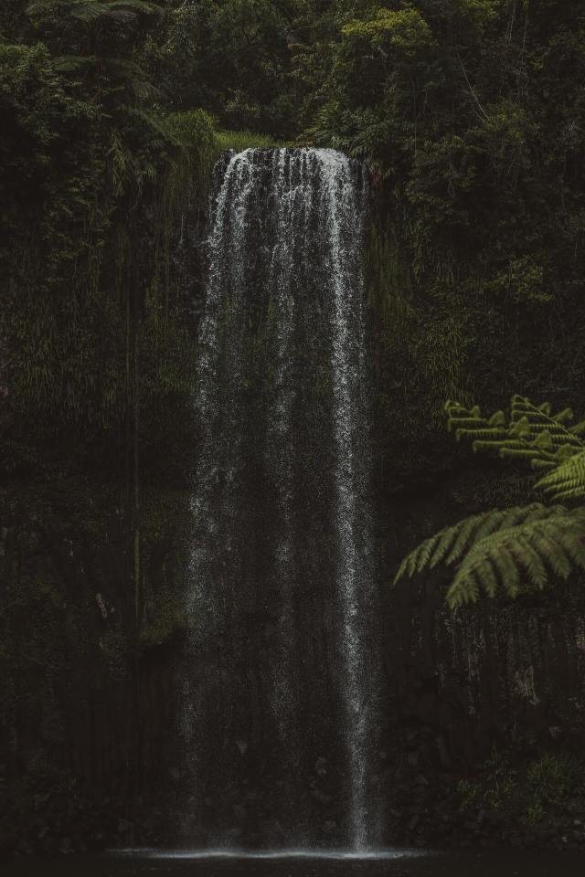 (by Bailey Cullen) #vertical#landscape#x#a#watsf #curators on tumblr #Bailey Cullen#waterfall#water#cliff#green#forest #Millaa Millaa Waterfall #Australia