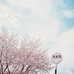 chickabiddy:  Bus Stop (by _kaochan) 