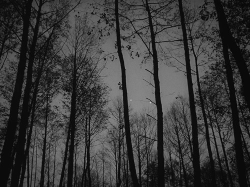maxwellbul:    Ivan’s Childhood (1962), Director: Andrei Tarkovsky, DP: Vadim Yosov   
